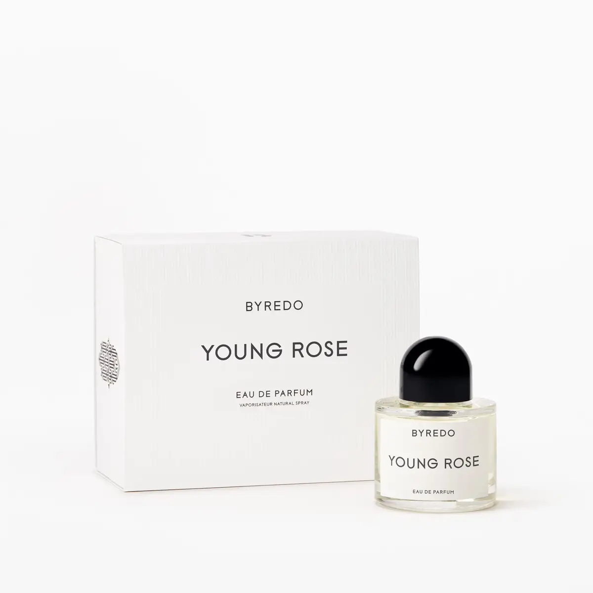 57-young-rose-3.webp Young Rose